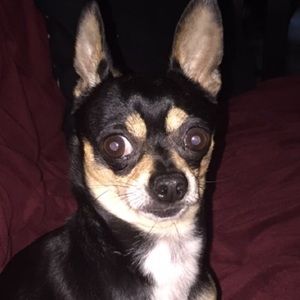 Meet your Posher, Melanie