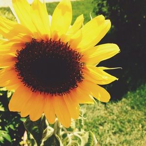 Meet your Posher, Ruby