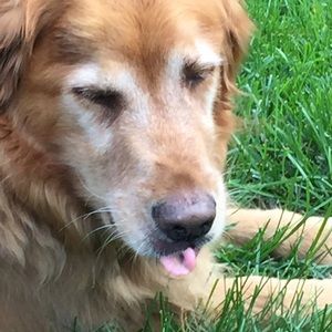 Meet your Posher, Derek