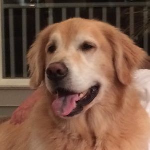 Meet your Posher, Tracey