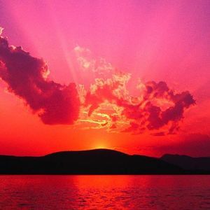 Meet your Posher, Roxanne