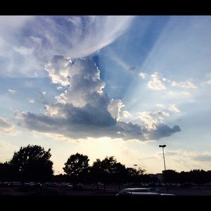 Meet your Posher, Brandt