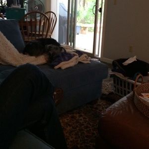 Meet your Posher, Kathryn