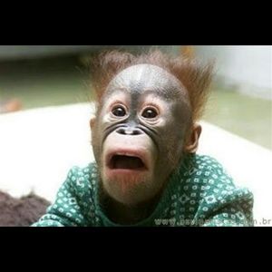 Meet your Posher, Marisol