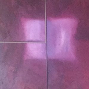 Meet your Posher, Holly