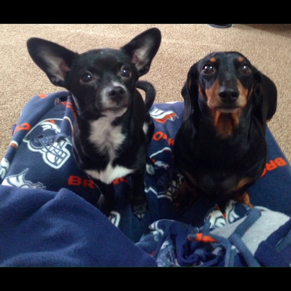 Meet your Posher - Picture 4 of 4