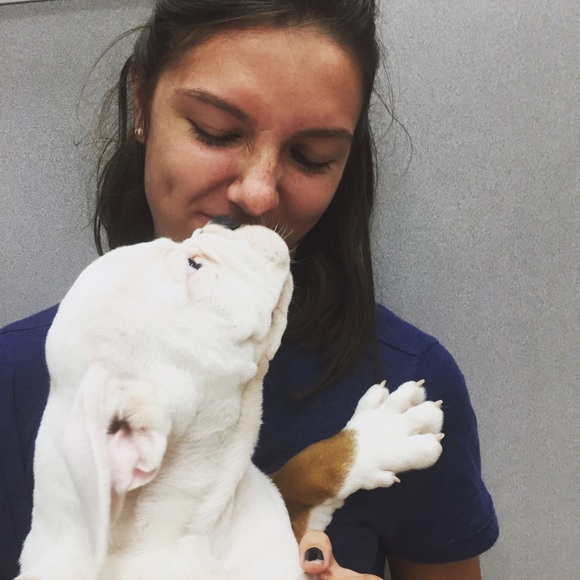 Meet your Posher, Madeline - Picture 1 of 1