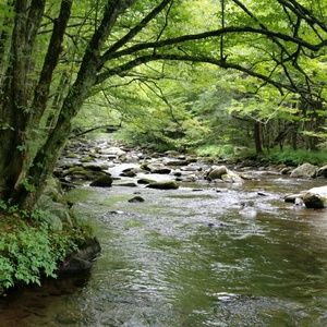 Meet your Posher, Janene