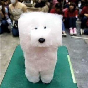 Meet your Posher, Elliott