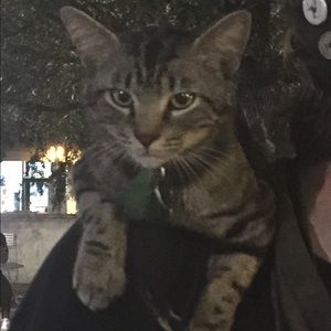 Meet your Posher, Colette