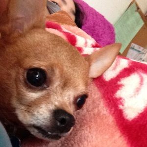 Meet your Posher, Christina