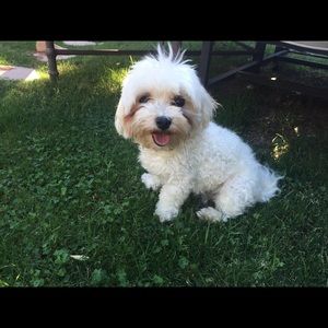 Meet your Posher, Mary