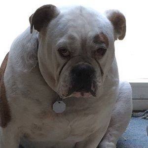 Meet your Posher, Vicki