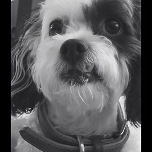 Meet your Posher, Kerry