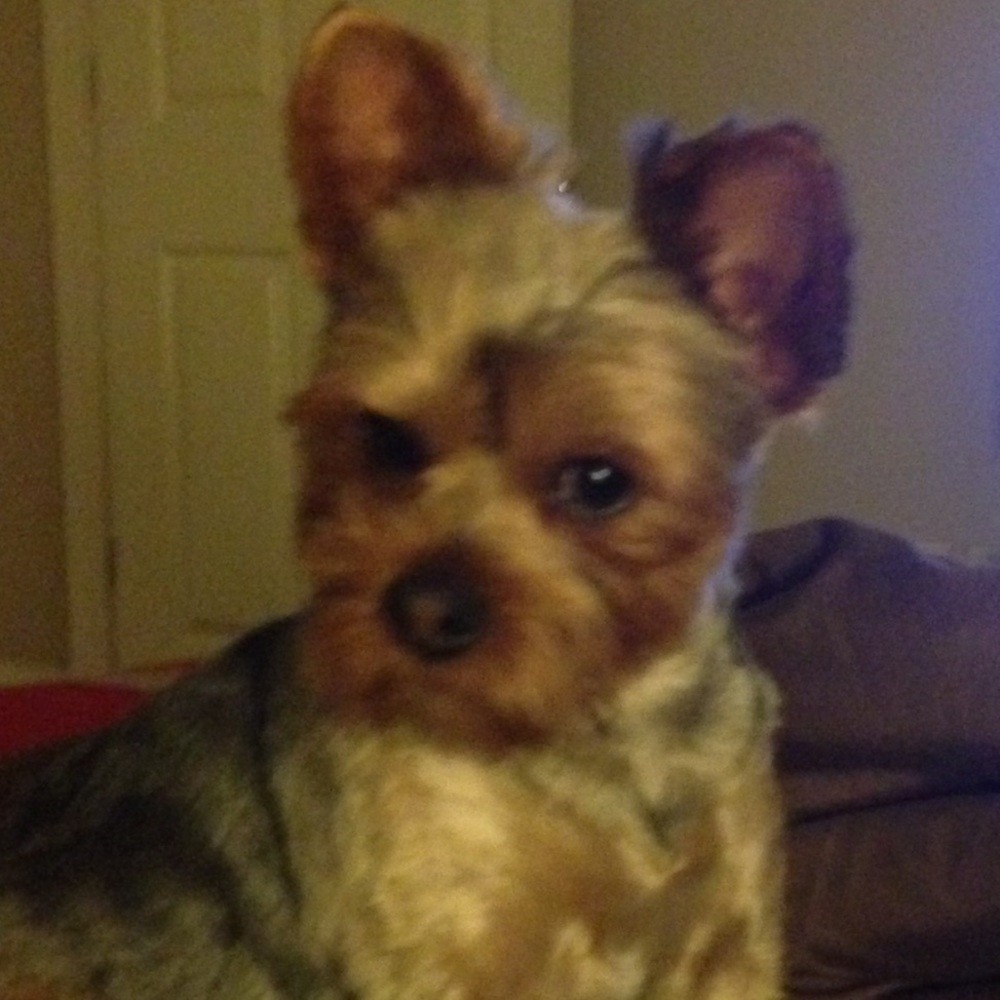 Meet your Posher, Stephanie