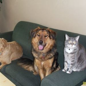 Meet your Posher, Jana