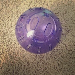 Hamster ball 💥SOLDDDD💥