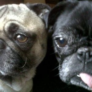 Meet your Posher, Denise