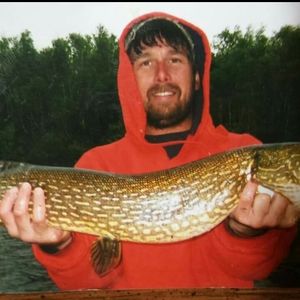 Meet your Posher, Baylie