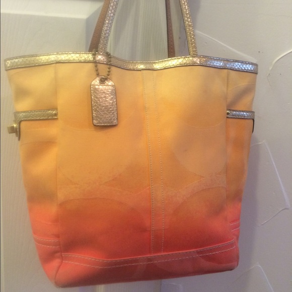 Coach Ombré purse