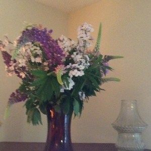 Meet your Posher, Pat