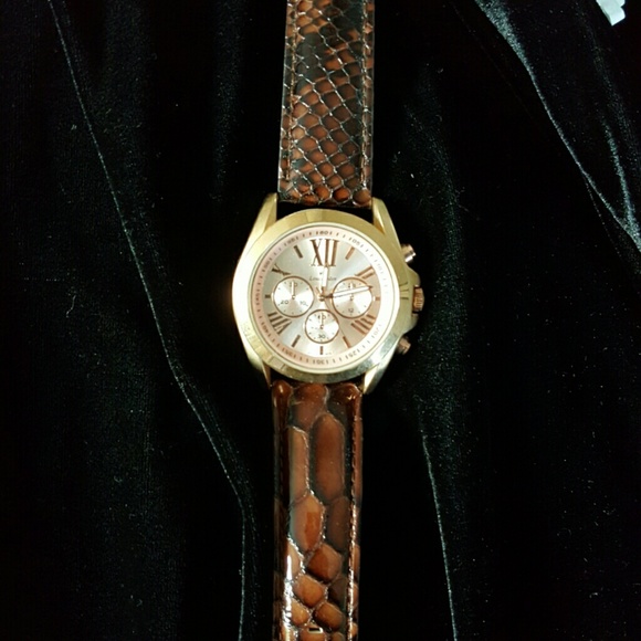Gold Watch Leather Python Band
