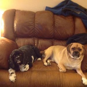 Meet your Posher, Margaret