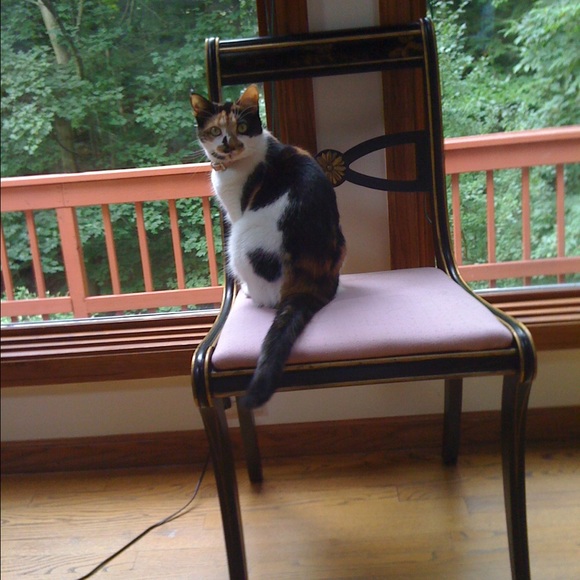 Hi I’m Wendy. 🐴🐶🐱👜👠💍👕👖👚 - Picture 11 of 12