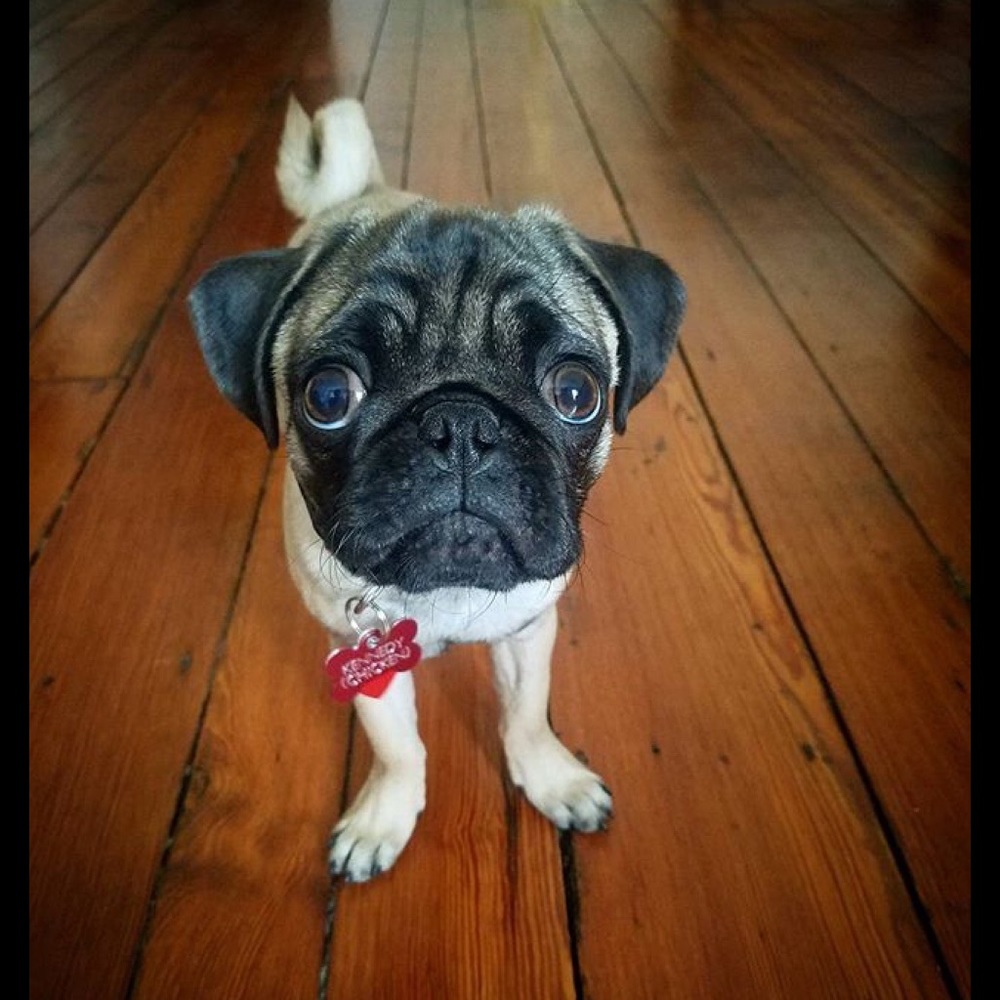 Meet your Posher, Wendy