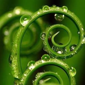 Meet your Posher, Lacey