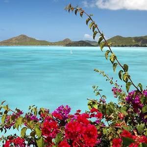 Meet your Posher, Maisie