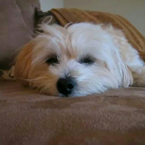 Meet your Posher, Monica - Picture 3 of 4