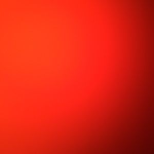 Meet your Posher, Paulina