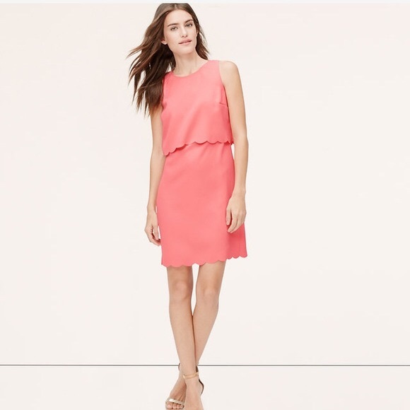 Ann Taylor petite scalloped crop illusion dress
