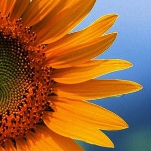 Meet your Posher, Colleen