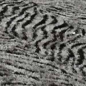 Meet your Posher, Collin