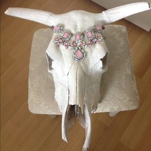<< Cow Steer Skull >>