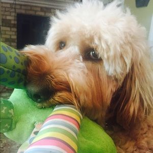 Meet your Posher, Shantie