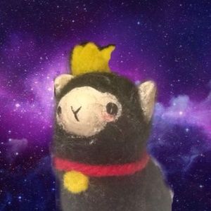 Meet your Posher, Ivy