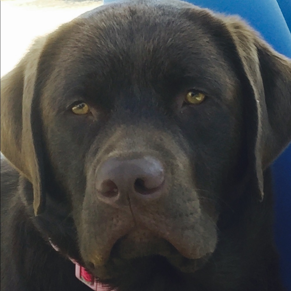 Meet your Posher, Michele