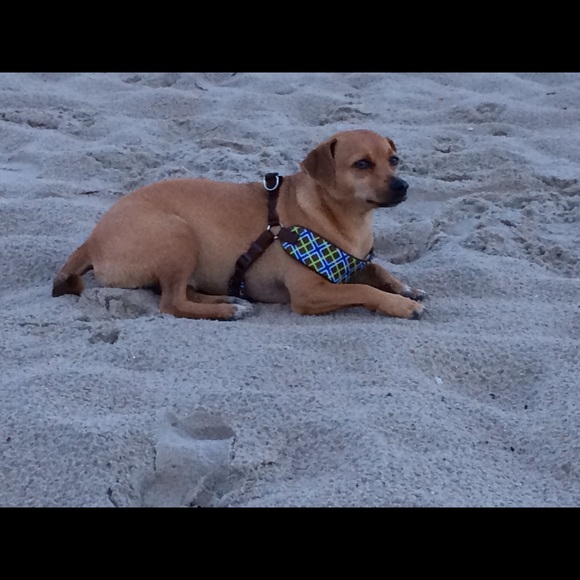 Meet your Posher, Sharon