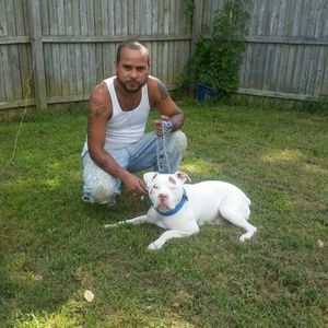 Meet your Posher, Abner