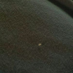 Meet your Posher, Dixie