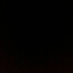 Meet your Posher, Gavin