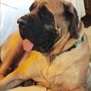 Meet your Posher, Cathy