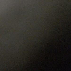 Meet your Posher, Sammy