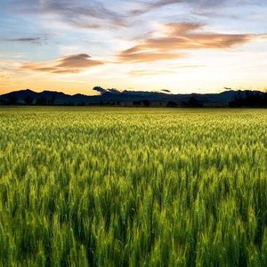 Meet your Posher, Johnathan