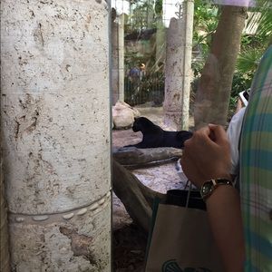 Meet your Posher, Daisy