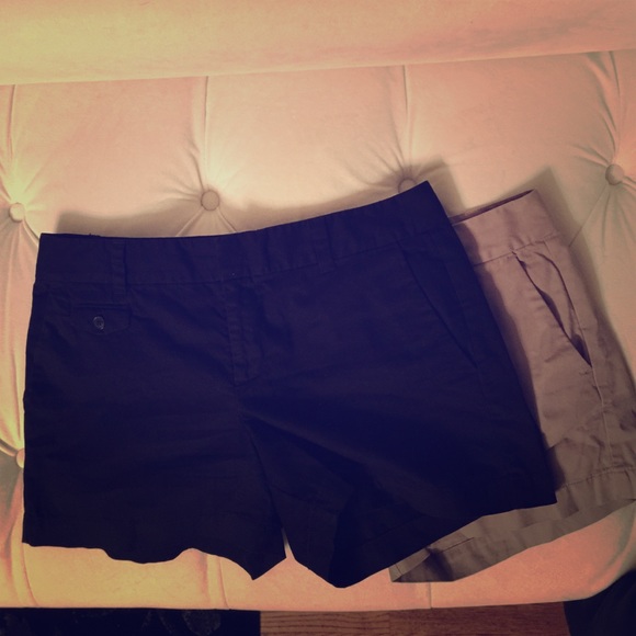Loft Shorts
