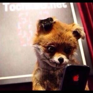 Meet your Posher, Kellie